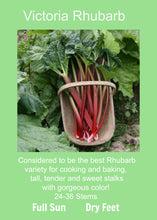 Load image into Gallery viewer, Rhubarb Victoria