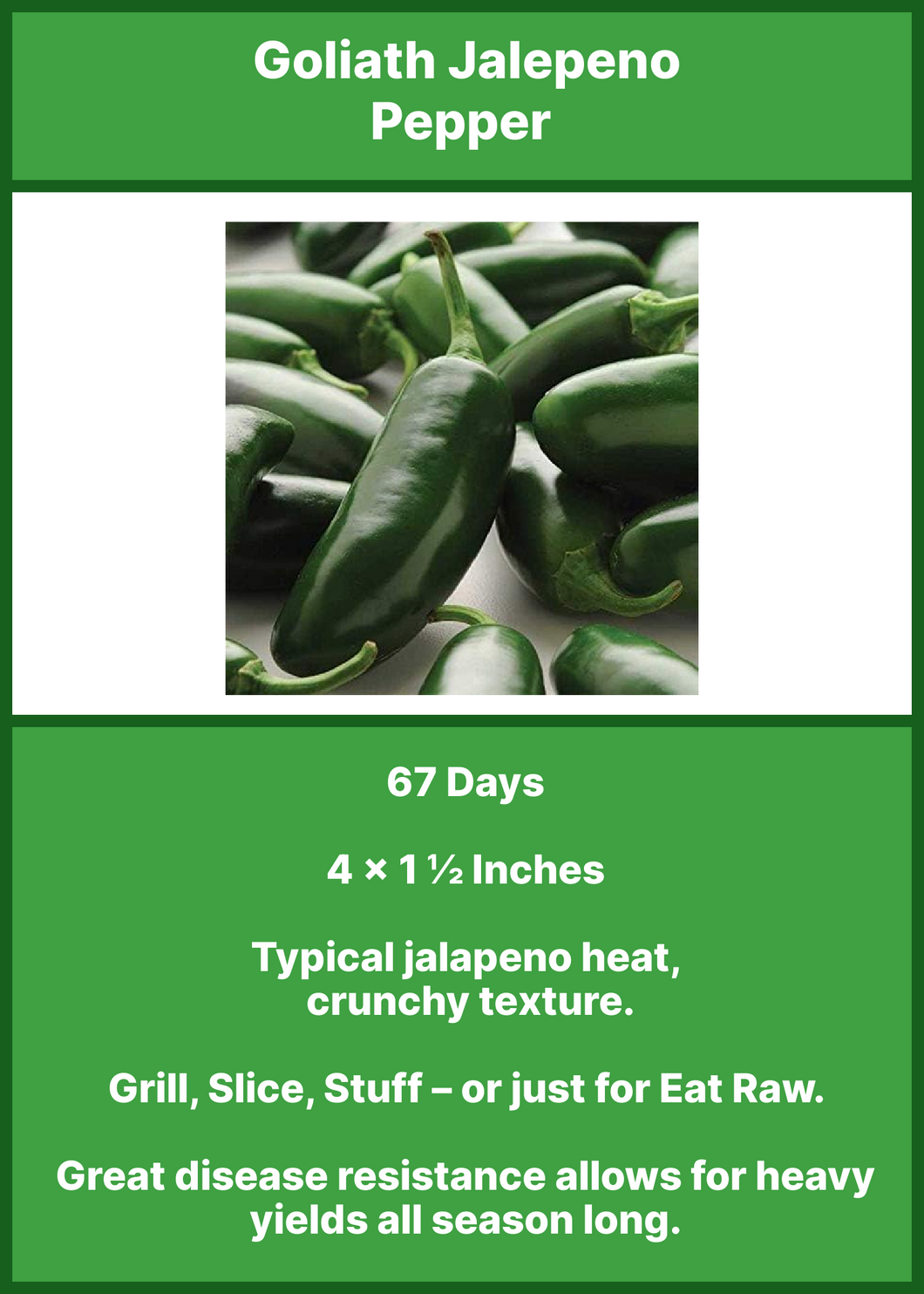 Pepper/Goliath Jalapeno   4-Pack