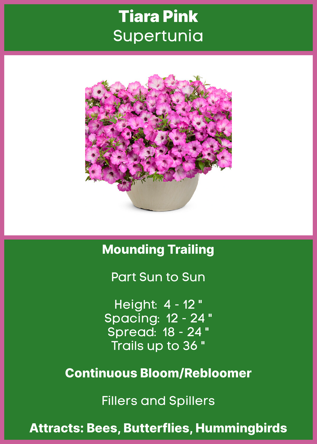 Petunia Tiara