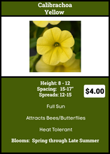 Load image into Gallery viewer, Calibrachoa Neo Yellow Deep Single

