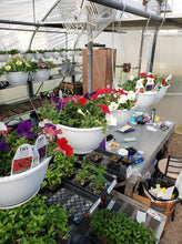 Load image into Gallery viewer, 10 inch Hanging Basket  Variety of many baskets
