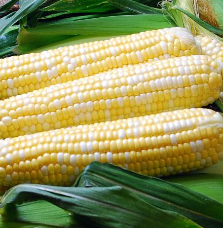 Sweet Corn -- Ambrosia 1/4lbs