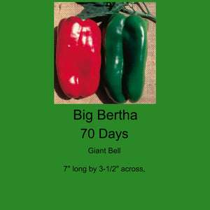 Pepper/Big Bertha 4-Pack