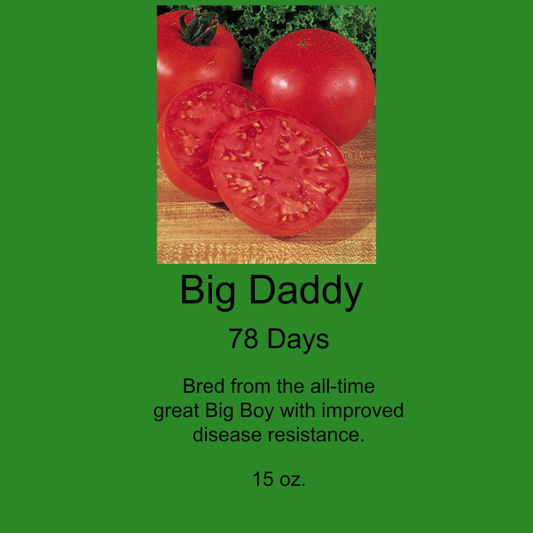 Tomato/Burpee Big Daddy Tomato  1 Pot