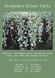 Silver Falls Single