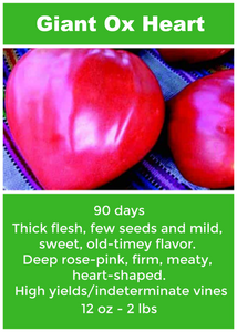 Tomato/Oxheart 6 -Pack