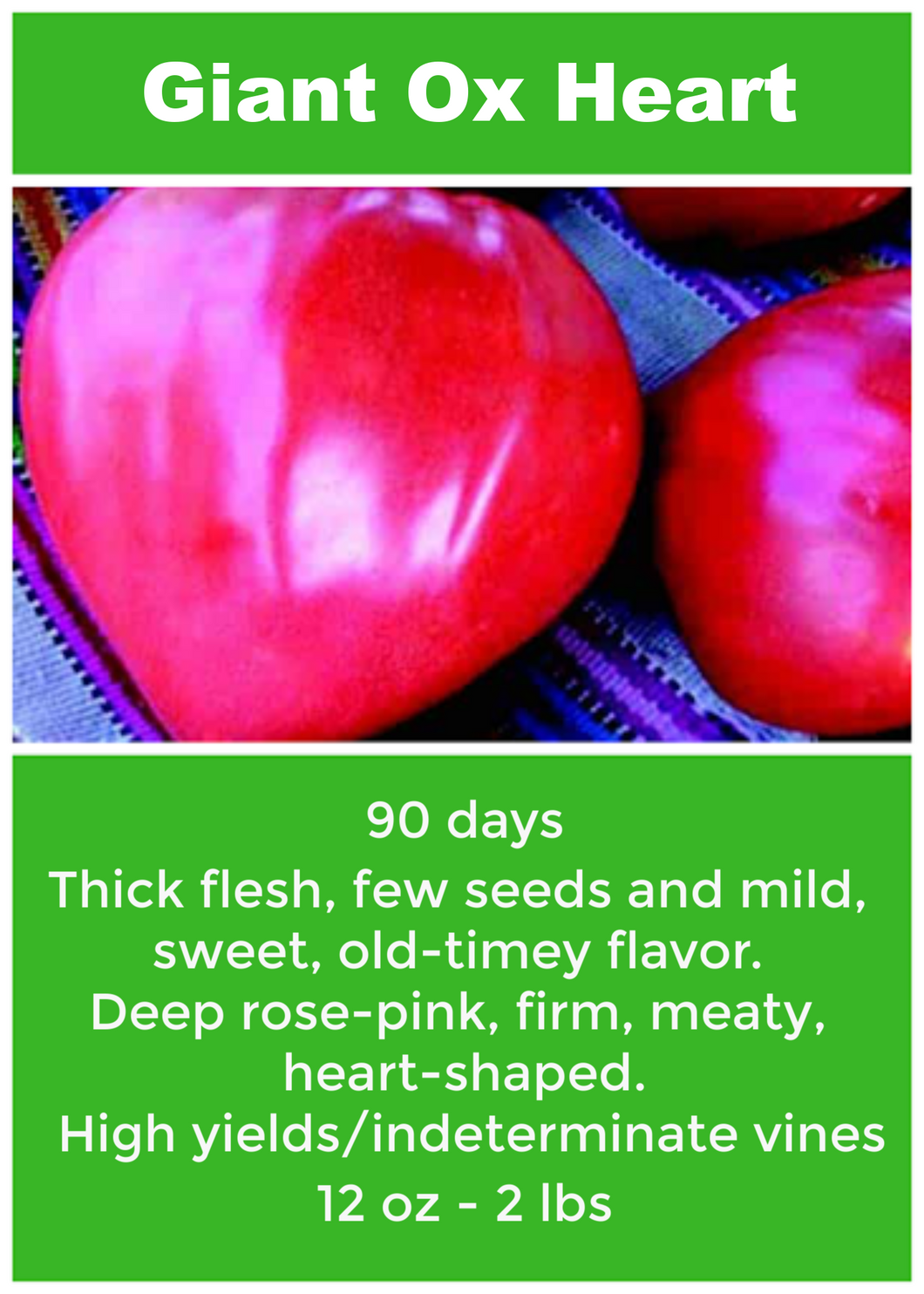 Tomato/Oxheart 6 -Pack