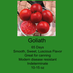 Tomato/Goliath 6-Pack