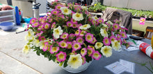 Load image into Gallery viewer, 10 inch Hanging Basket  Variety of many baskets

