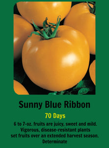Tomato/Sunny Blue " Carolina Gold" 4-Pack