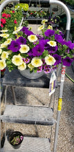 Load image into Gallery viewer, 10 inch Hanging Basket  Variety of many baskets
