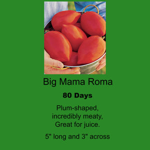 Tomato/Burpee Big Mama Roma Single Pot