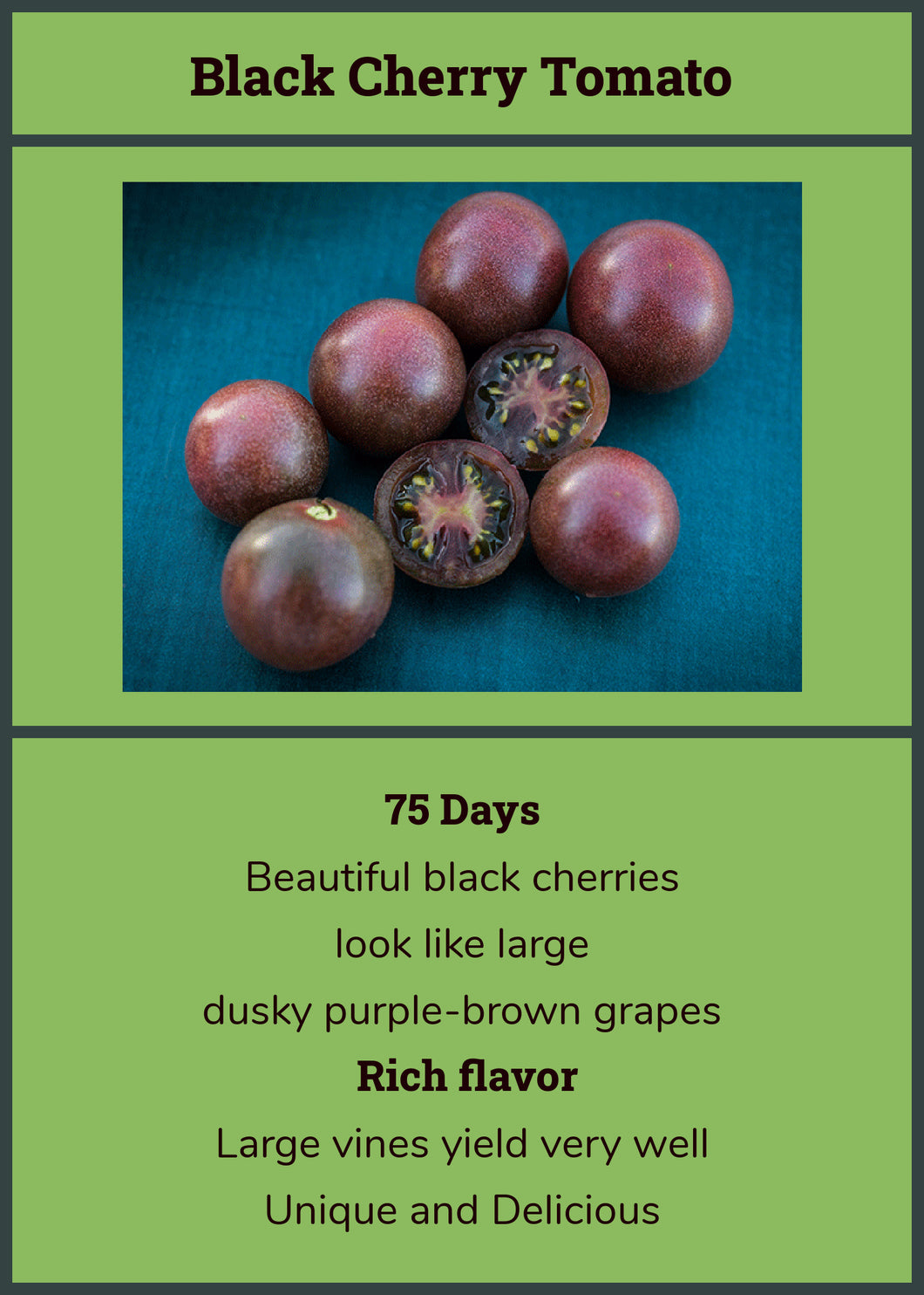 Cherry Tomato/Black Cherry  4- pack