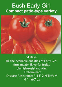 Tomato/Bush Early Girl 6-Pack