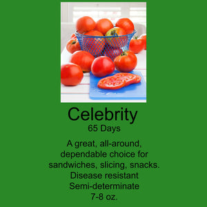 Tomato/Celebrity 6-Pack