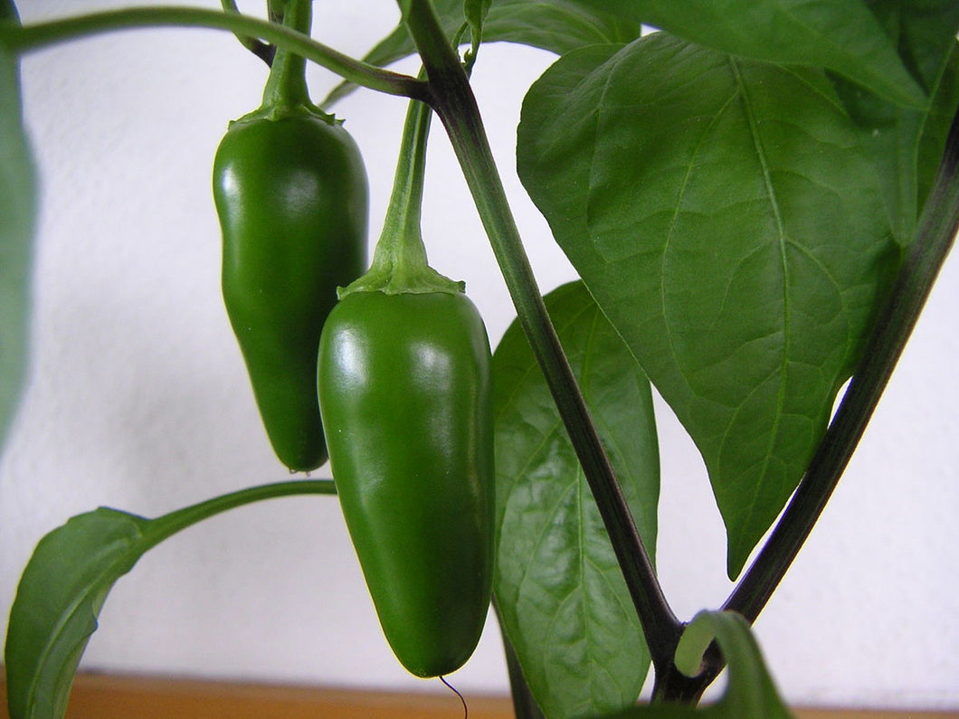 Pepper/Jalapeno 2-Pack