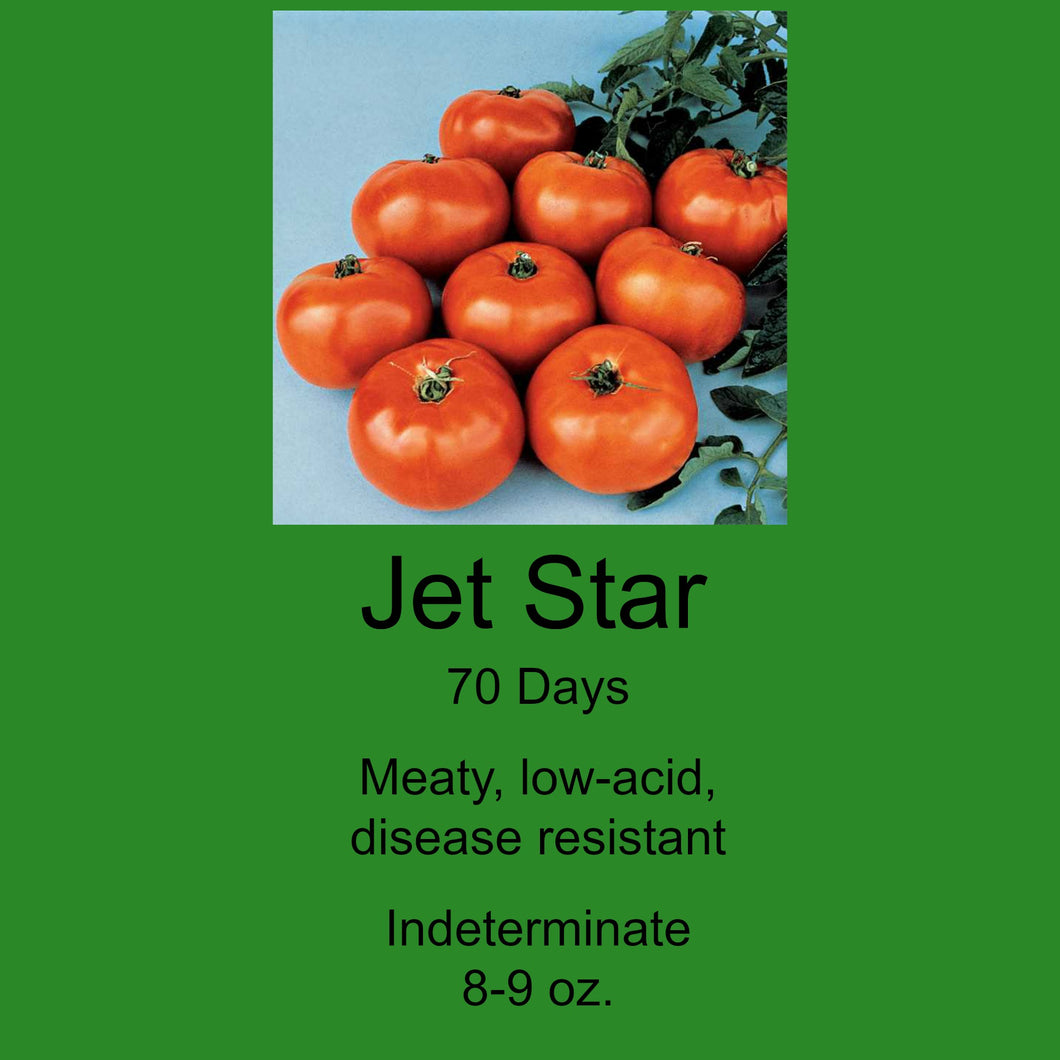 Tomato/Jet Star 6-Pack