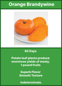 Tomato/Orange Brandywine   6-Pack