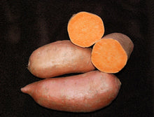 Load image into Gallery viewer, Sweet Potato/New Orleans 12 in a pot
