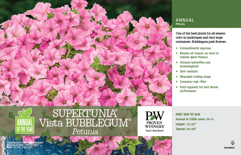 Petunia Bubblegum