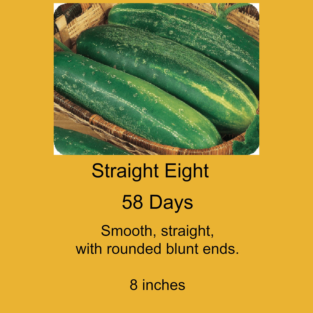 Cucumber: Straight 8- 10 seeds