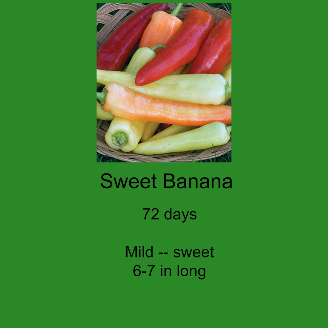 Pepper/Sweet Banana 4-pack