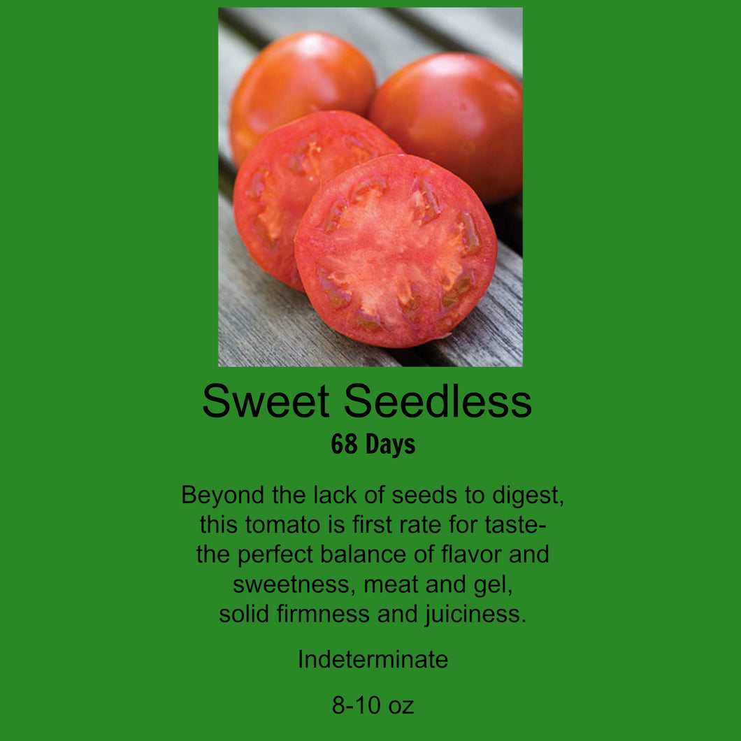 Tomato/Sweet Seedless Tomato in a 4 inch Single pot