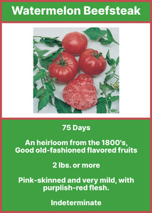 Tomato/Watermelon Beefsteak  6-pack