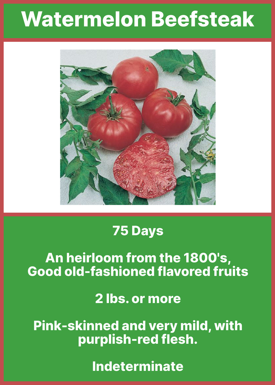 Tomato/Watermelon Beefsteak  6-pack