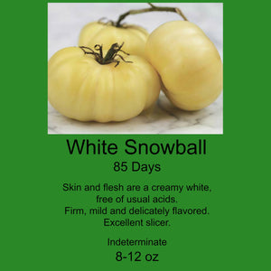 Tomato/White Snowball 6-Pack